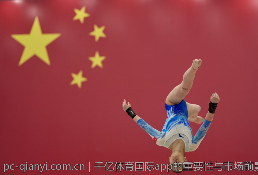 千亿体育国际app的重要性与市场前景